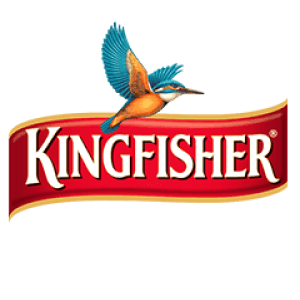Kingfisher influencer marketing and a sponsored content icon. Digital marketing success, brand collaboration, and social media growth for businesses. Connect ITPPVT.COM for your brand marketing.
